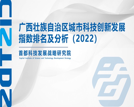 b抽插BAV操B【成果发布】广西壮族自治区城市科技创新发展指数排名及分析（2022）